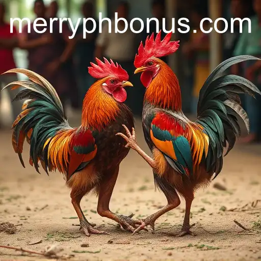 The Tradition and Controversy Surrounding Cockfighting: Focusing on MERRYPH